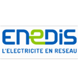 Logo de l'employeur ENEDIS