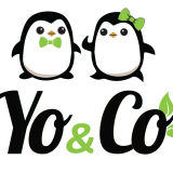 Logo de l'employeur YO AND CO