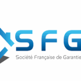 Logo de l'entreprise  SFG