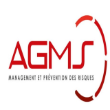 Logo de l'entreprise ALAIN GOARANT MANAGEMENT ET SECURITE