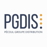 Logo de l'entreprise PGDIS