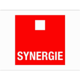 Logo de l'entreprise SYNERGIE