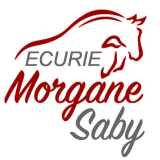 Logo de l'employeur ECURIE MORGANE SABY