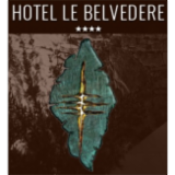 Logo de l'employeur HOTEL BELVEDERE ****