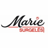 Logo de l'employeur MARIE SURGELES