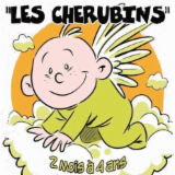 Logo de l'employeur LES CHERUBINS