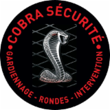 Logo de l'employeur COBRA SECURITE
