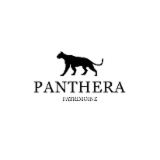 Logo de l'employeur PANTHERA PATRIMOINE