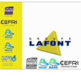 Logo de l'employeur LMII LAFONT MAIN INTER INDUS