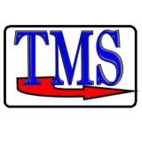 Logo de l'employeur TELE MENAGER SERVICE