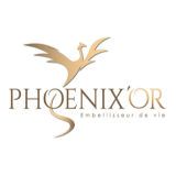 Logo de l'employeur PHOENIX'OR