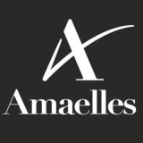 Logo de l'employeur AMAELLES HAUTE LOIRE