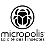 Logo de l'employeur S.E.M. CITE DES INSECTES