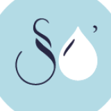 Logo de l'employeur SO CLEAN SERVICES