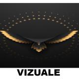 Logo de l'employeur VIZUALE