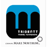 Logo de l'employeur TRIDENTT SAVOIE INTERIM - TSI
