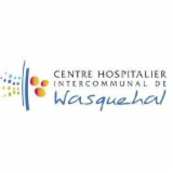 Logo de l'employeur CHI WASQUEHAL