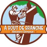 Logo de l'employeur A BOUT DE BRANCHE