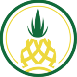 Logo de l'employeur Bangkok Factory Orléans