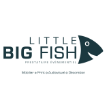 Logo de l'employeur LITTLE BIG FISH