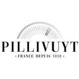 Logo de l'employeur PILLIVUYT