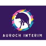 Logo de l'employeur NFM RECRUTEMENT