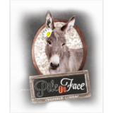 Logo de l'employeur PILE OU FACE