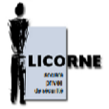 Logo de l'employeur LICORNE SOCIETE PRIVEE