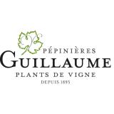 Logo de l'employeur GUILLAUME SUD