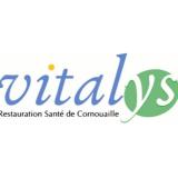 Logo de l'employeur GIP VITALYS