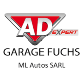 Logo de l'employeur ML AUTOS