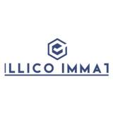 Logo de l'employeur ILLICO IMMAT FRANCE