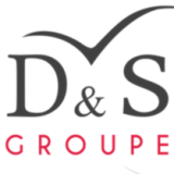 Logo de l'employeur D&S INGENIERIE