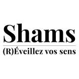 Logo de l'employeur SHAMS CONSEILS