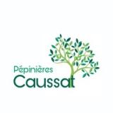 Logo de l'employeur PEPINIERES DU PADOUENC