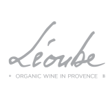 Logo de l'employeur JOB IN HYERES 2026 