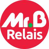 Logo de l'employeur Mr Bricolage Relais Andernos