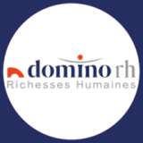 Logo de l'employeur DOMINO MISSIONS PROVENCE