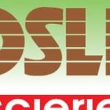 Logo de l'employeur JOSLET SCIERIE