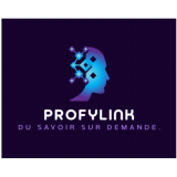 Logo de l'employeur PROFYLINK