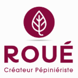 Logo de l'employeur ANEFA