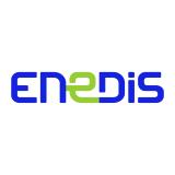 Logo de l'employeur ENEDIS