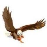 Logo de l'employeur PACO & FILS SARL