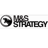 Logo de l'entreprise M S STRATEGY