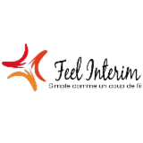 Logo de l'employeur FEEL INTERIM