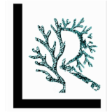 Logo de l'employeur SOC HOTELIERE DE PINARELLO