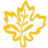 Logo de l'employeur RECRUTEMENT CONSEIL INTERNATIONAL