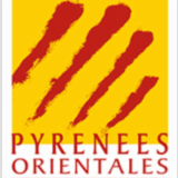Logo de l'employeur INSTITUT DEPART ENFANCE ADOLESCENCE