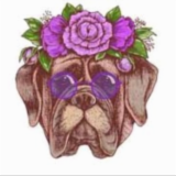 Logo de l'employeur OSCAR OSCAR