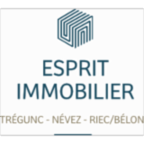 Logo de l'employeur ESPRIT IMMOBILIER